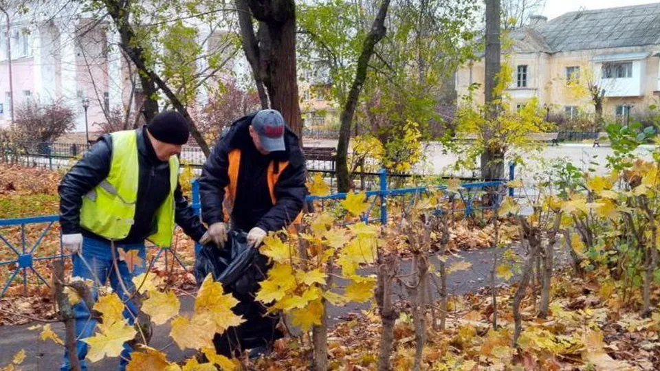 Фото: МБУ «Благосфера»