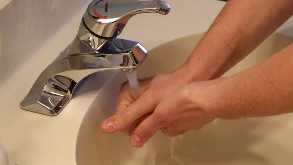 Фото: pxhere.com