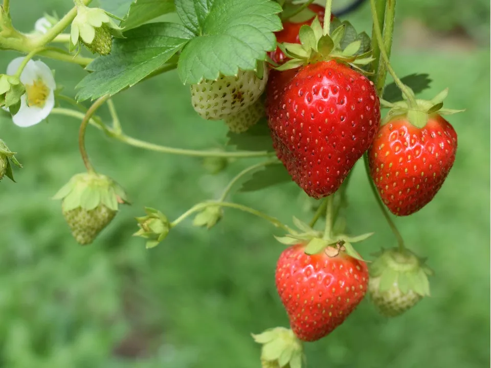 Фото: unsplash.com