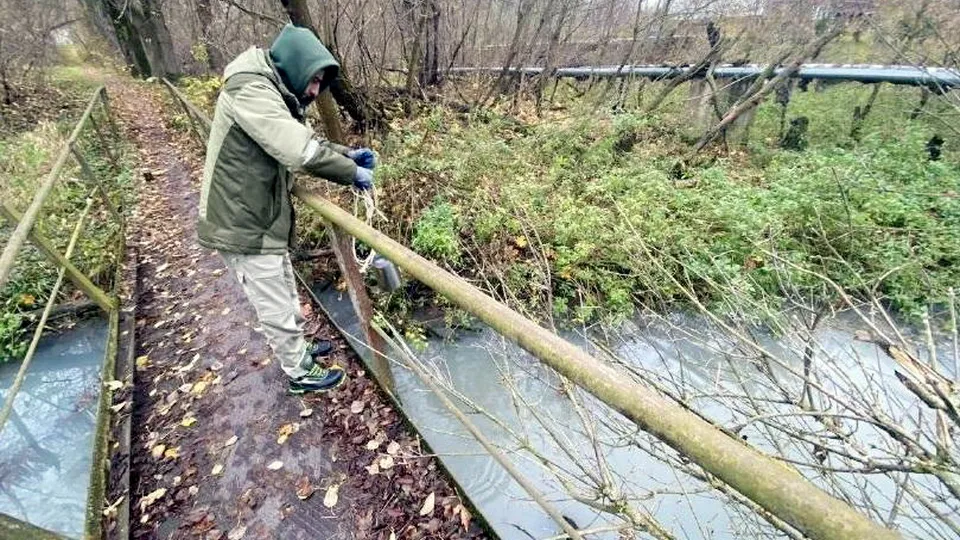 Фото: Минэкологии МО