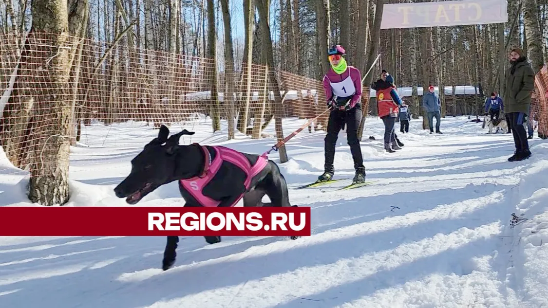 Фото: Андрей Семибратов