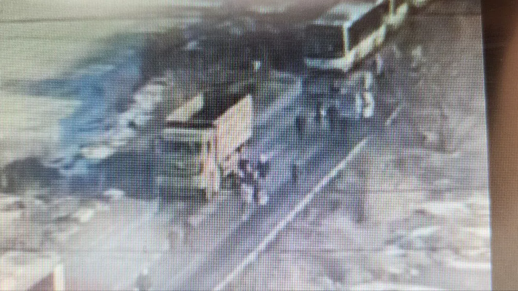 фото - Н. Надточая