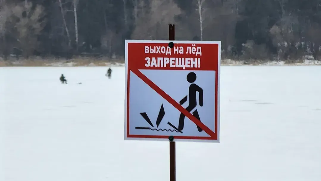 Екатерина Данилина