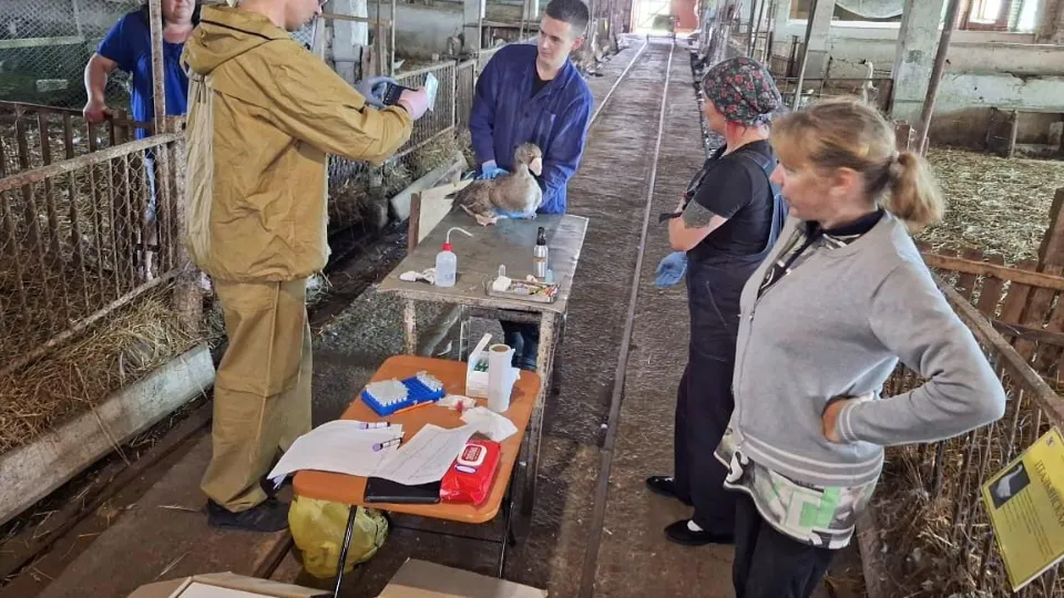 Фото: ФГБНУ «Верхневолжский ФАНЦ»