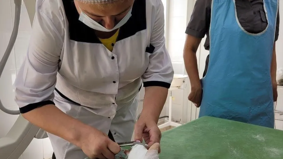 Фото: Министерство образования Московской области