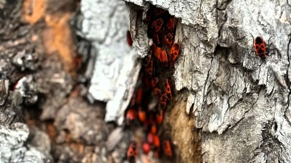 Фото: REGIONS/Дарья Кургузова