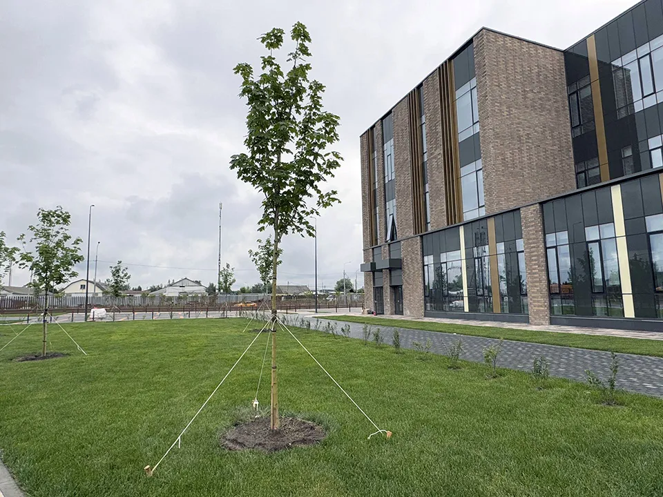 Фото: REGIONS/Мария Шматкова