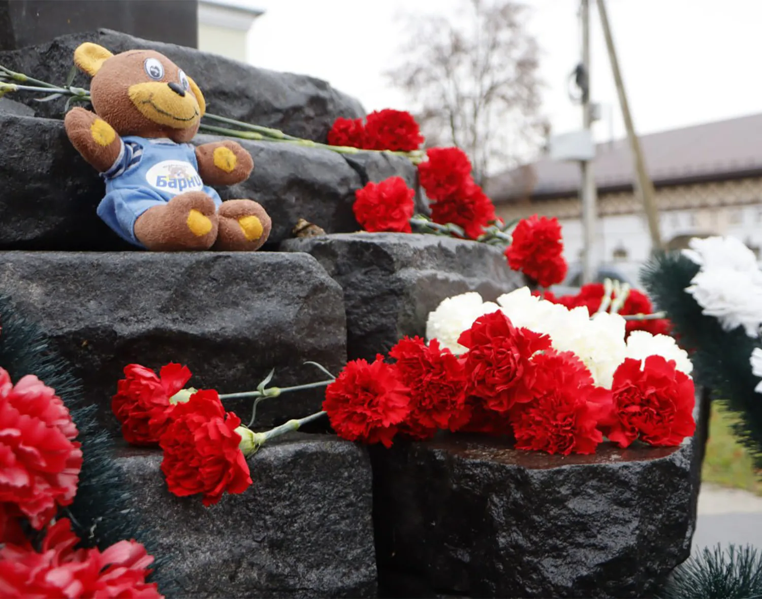 Фото: пресс-служба администрации м.о. Зарайск