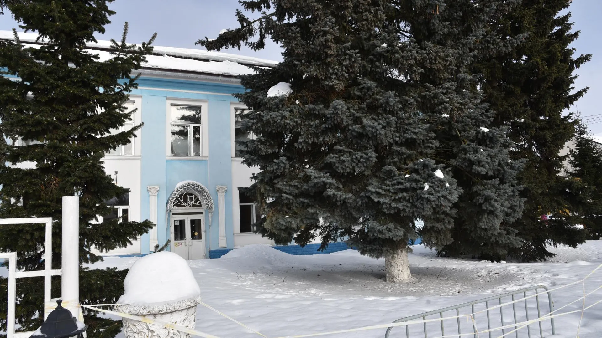 Владимир Останин