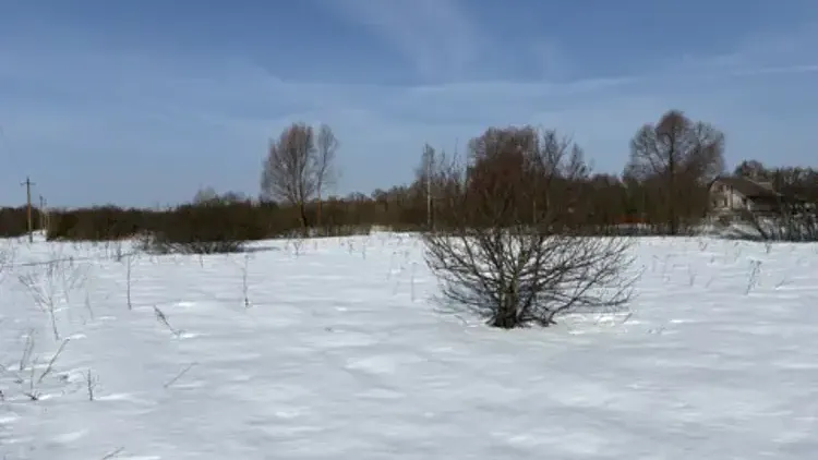 Участок ЛПХ на торгах в г.о. Воскресенск