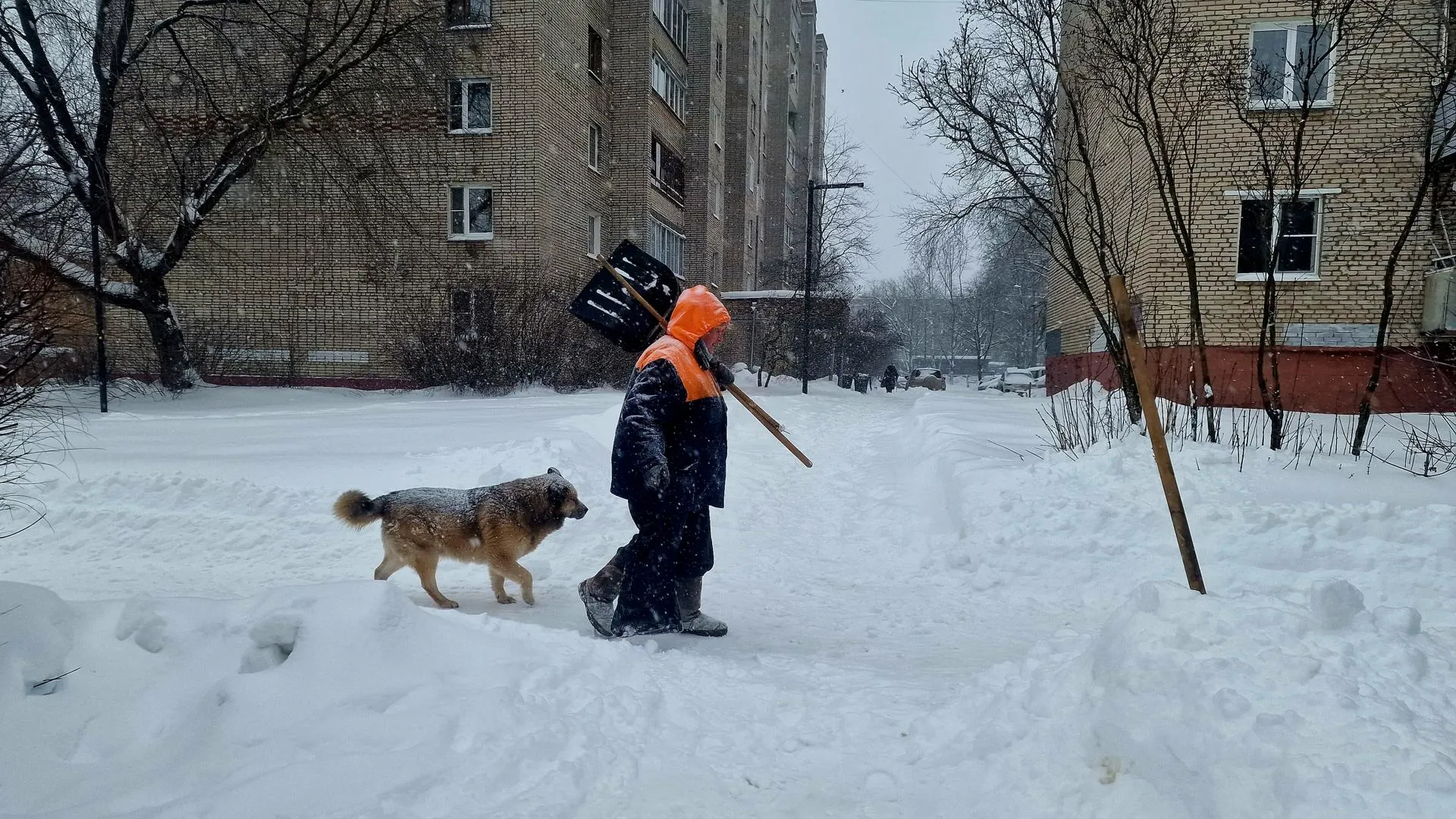 REGIONS/Ольга Шаронова