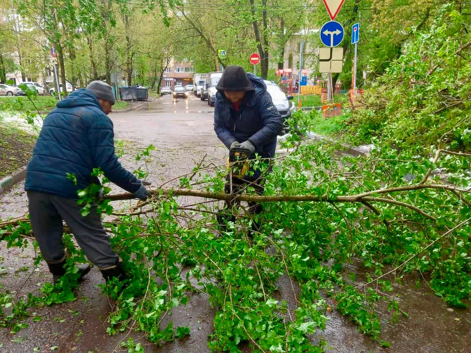 Фото: t.me/zemlyakova_khimki