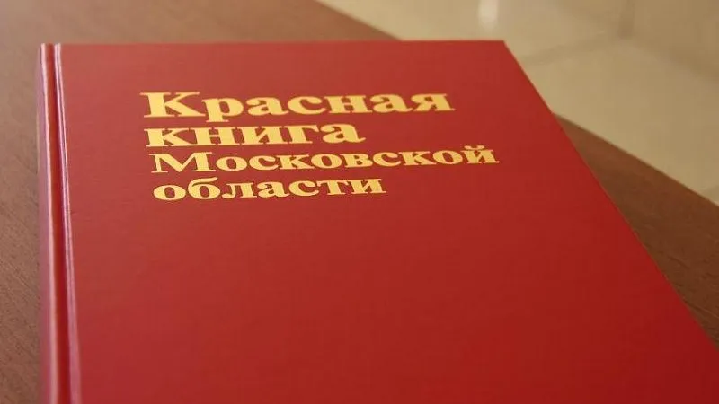 Красную книгу Подмосковья планируют переиздать к концу 2018 года