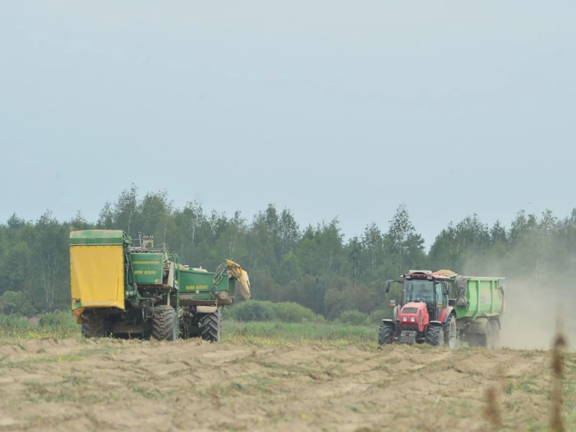 Фото: пресс-служба администрации Шатуры