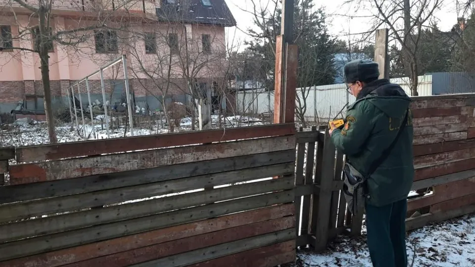 Фото: Комлесхоз Московской области