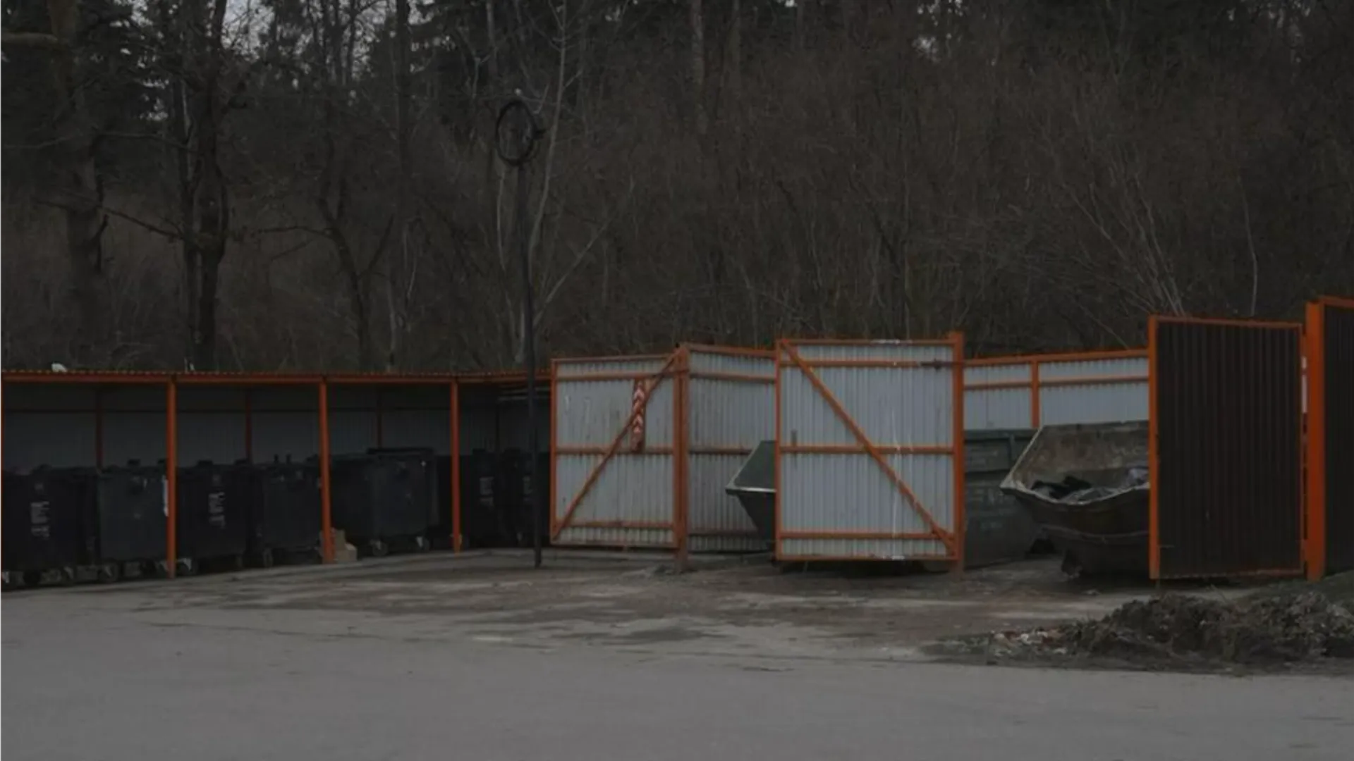 Фото: пресс-служба администрации м.о. Истра