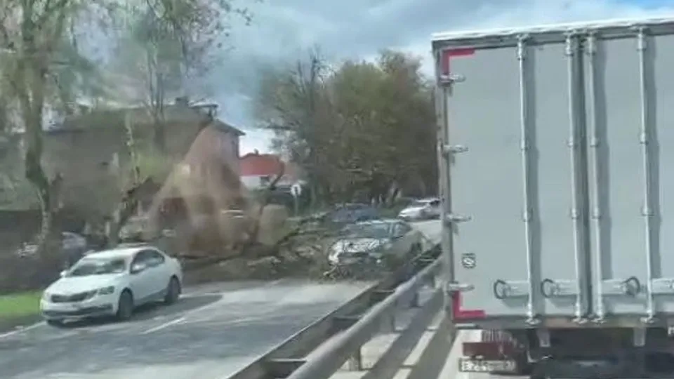 Фото: t.me/podolsk24chat