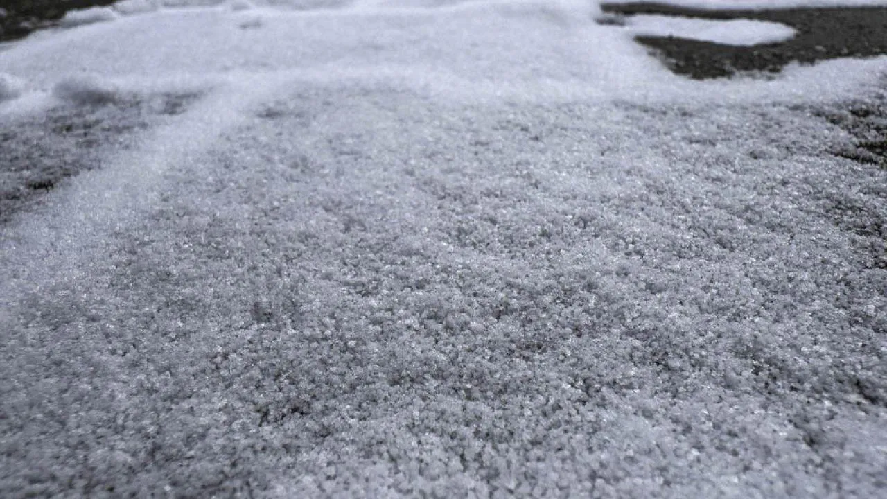 REGIOMS/Владимир Ерастов