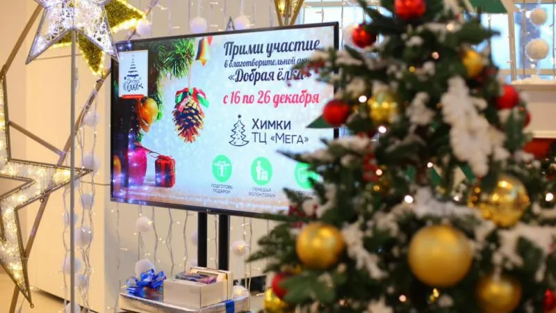 Александр Щемляев / Подмосковье сегодня