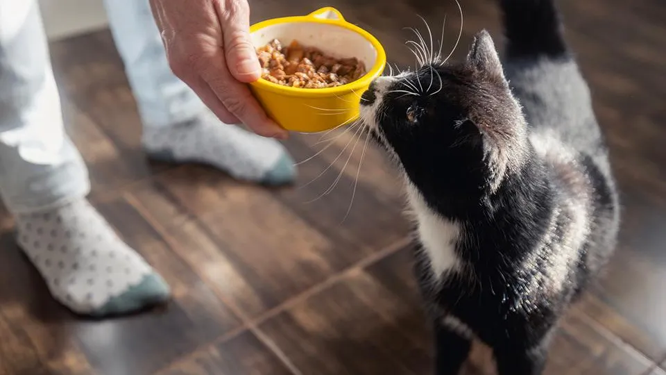 Фото: istockphoto.com