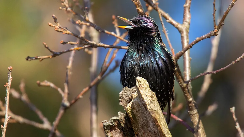 Фото: REGIONS/Антон Кондратюк