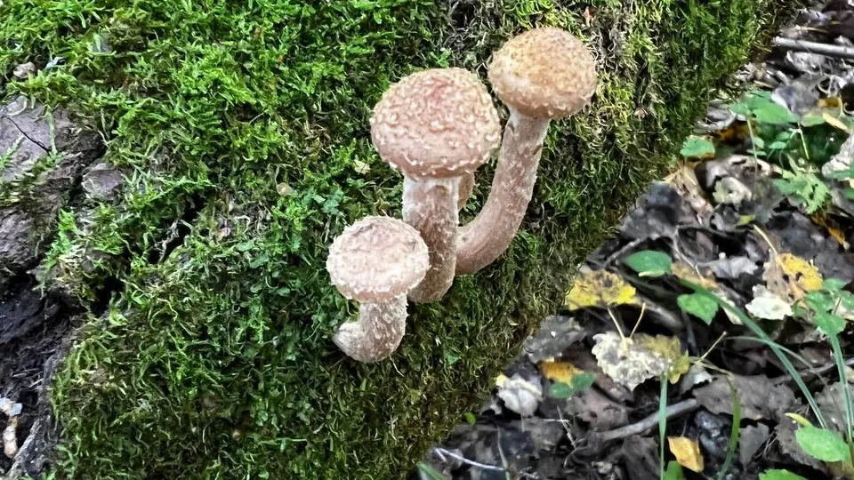 Фото: Анна Токорева