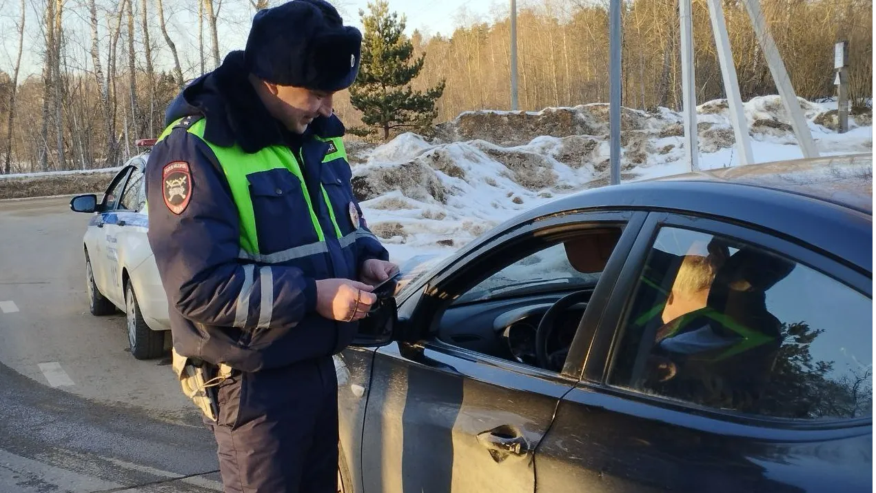 Фото: ОМВД России по Рузскому городскому округу