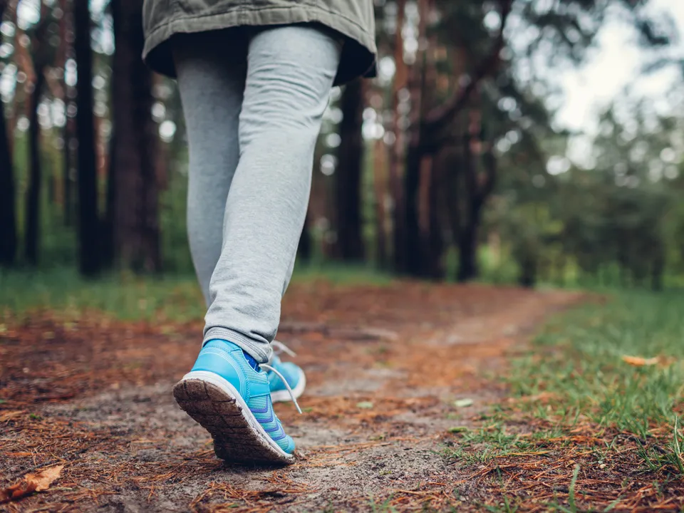 Фото: istockphoto.com/Maryviolet&nbsp;