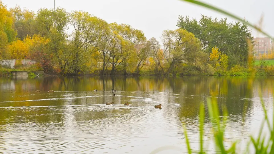 Фото: пресс-служба администрации Ленинского г.о.