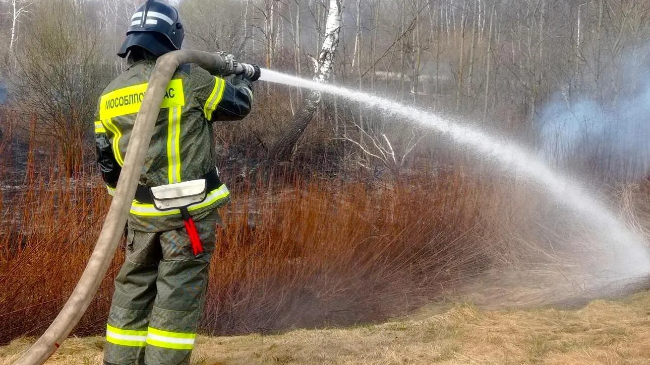 Фото: ГКУ МО «Мособлпожспас»