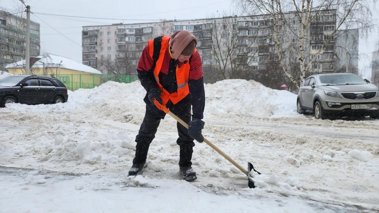 МедиаБанк Подмосковья/Екатерина Данилина
