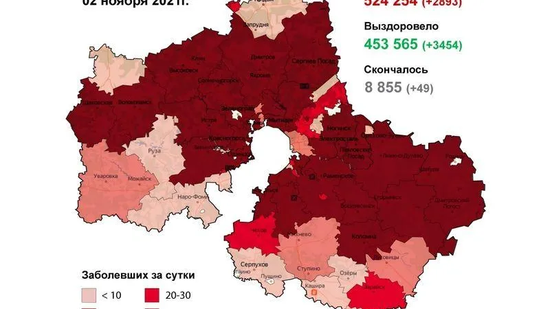 Мытищи и Домодедово стали антилидерами по коронавирусу