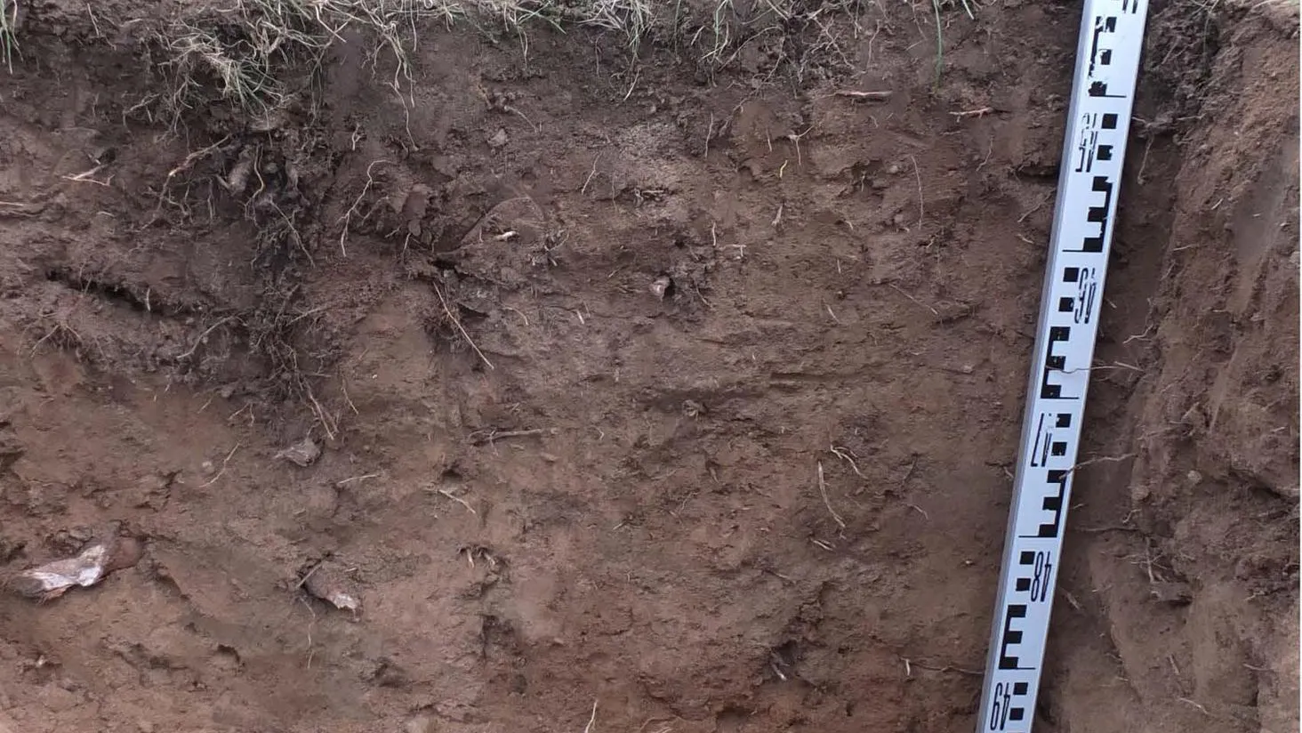 Фото: Главное управление культурного наследия Московской области