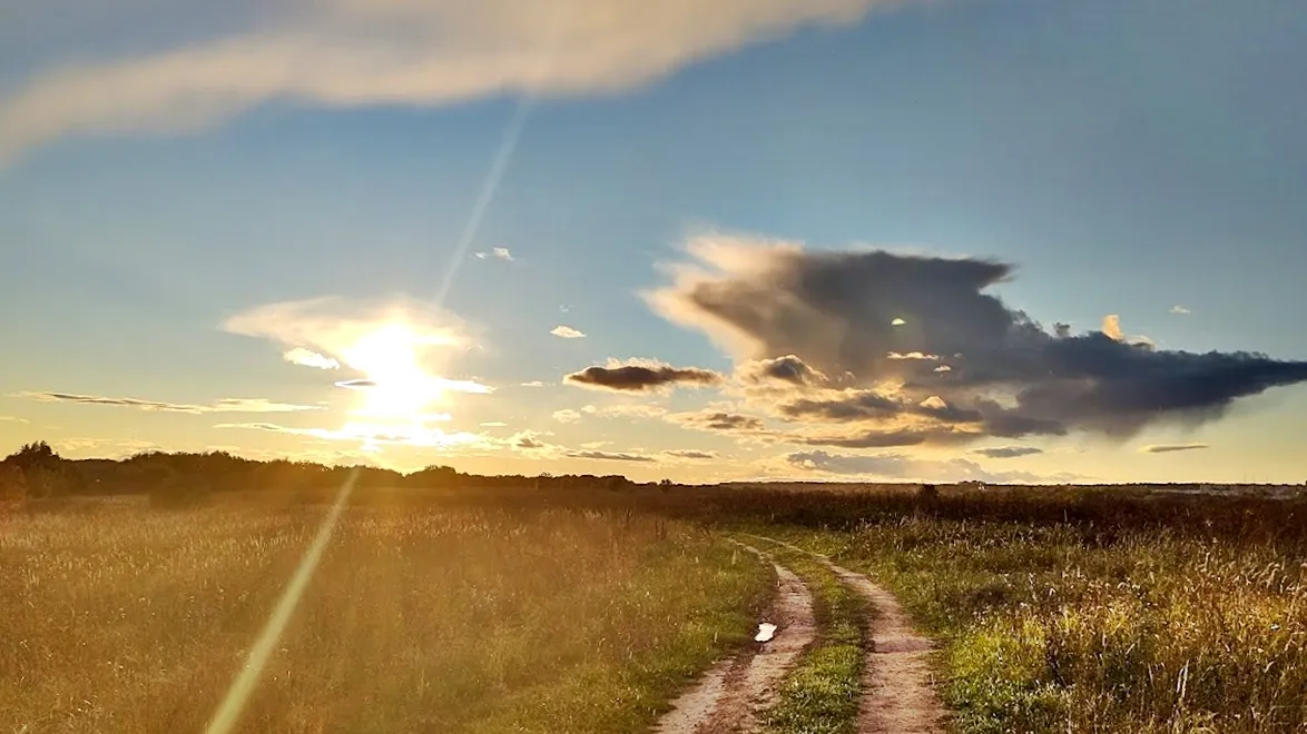 Фото: REGIONS/Алексей Селиверстов