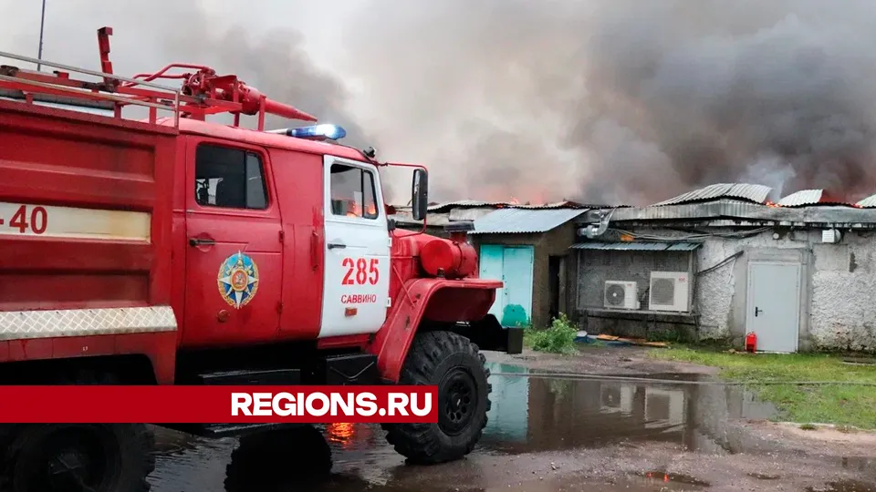 Фото: REGIONS/Василий Тремасов