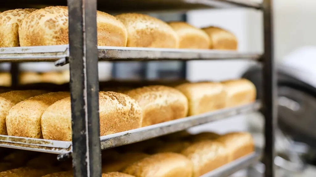 Анна Реппель