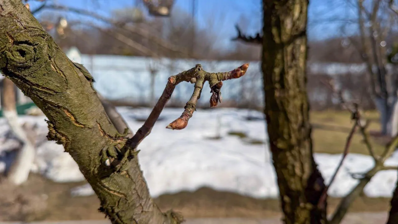 REGIONS/Илья Попов