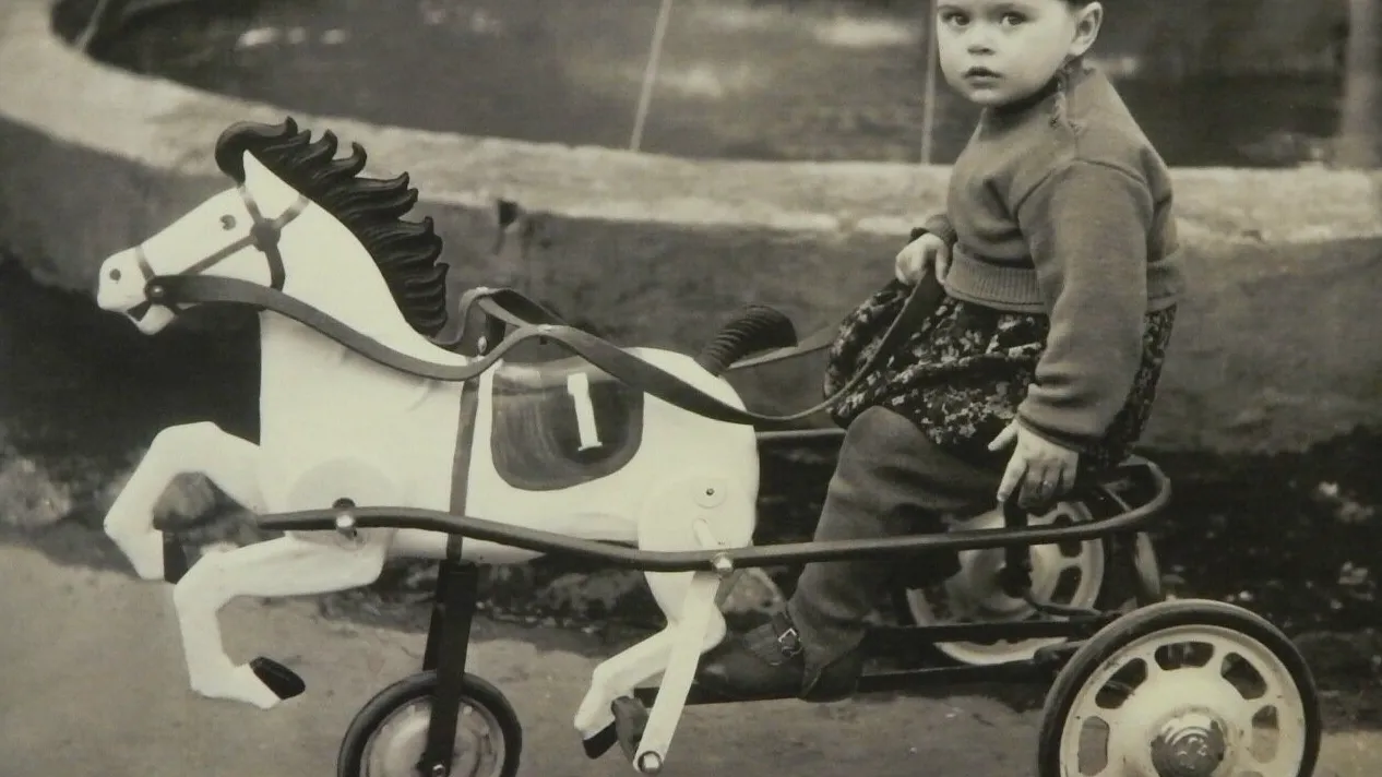 Историко-культурный музей заповедник "Коломенский кремль"