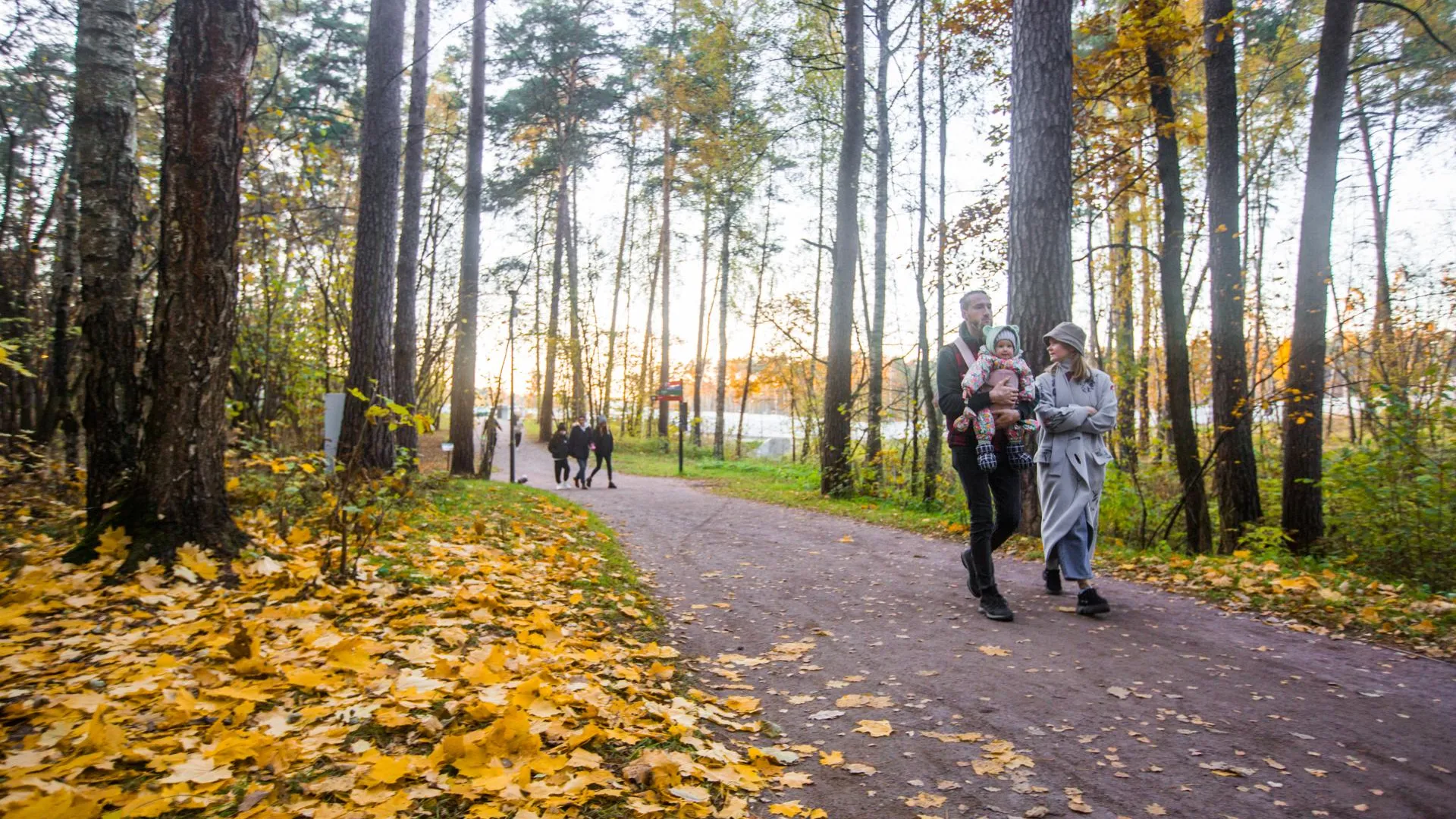 Министерство благоустройства Московской области