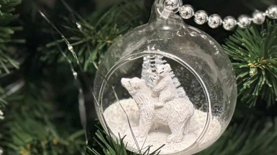 Фото: REGIONS/Дарина Левкина