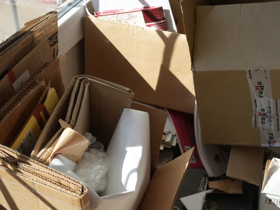 Фото: МедиаБанк Подмосковья/Мария Юдина