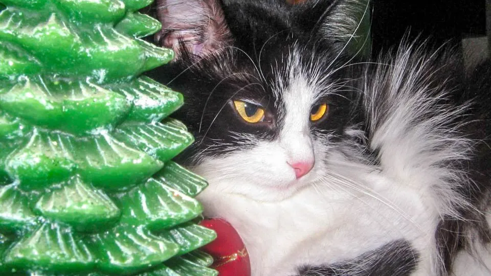 Фото: REGIONS/Эльвира Сафина