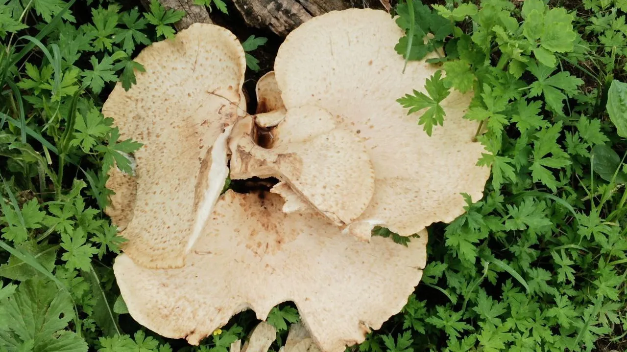 Фото: Ирина Горбачева