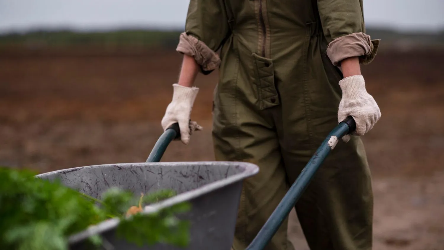 Фото: Freepik.com