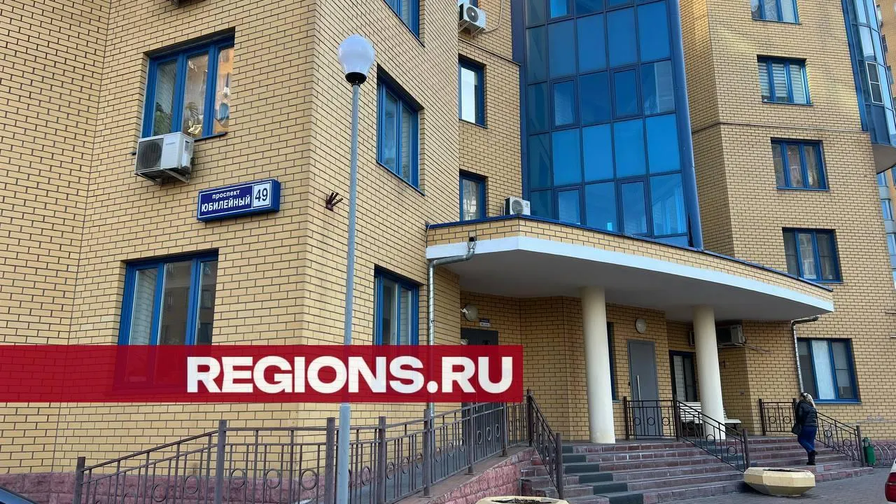 Фото: REGIONS/Ксения Казакова