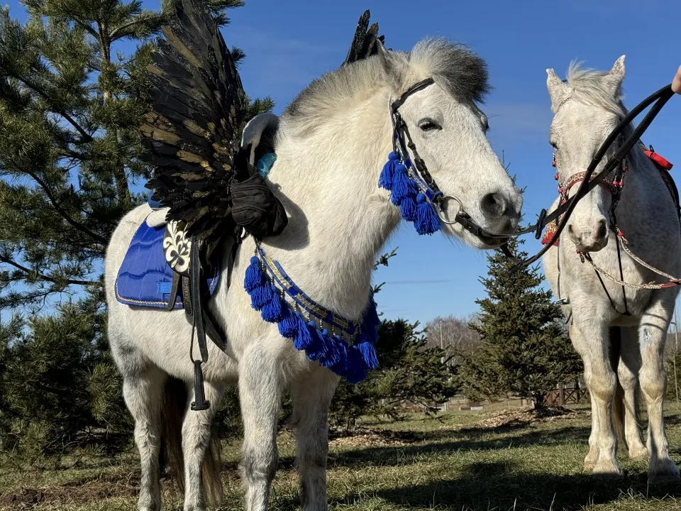 пресс-служба администрации Можайского м. о.