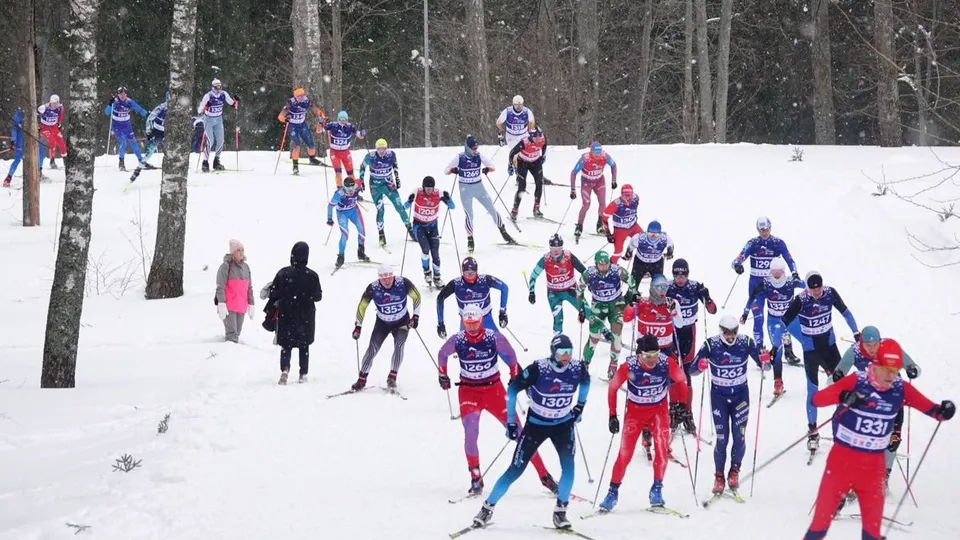 Фото: МедиаБанк Подмосковья/Дарья Леонова