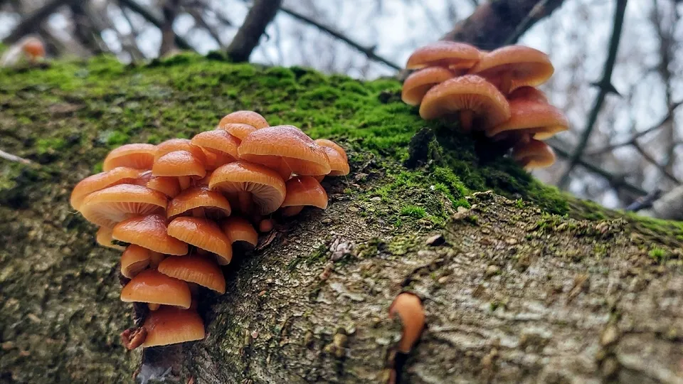 Фото: Василий Потапов