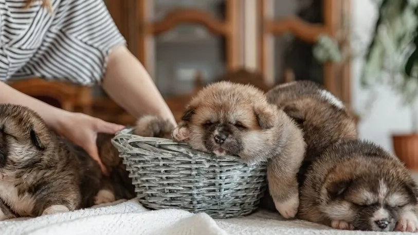 Фото: freepik.com