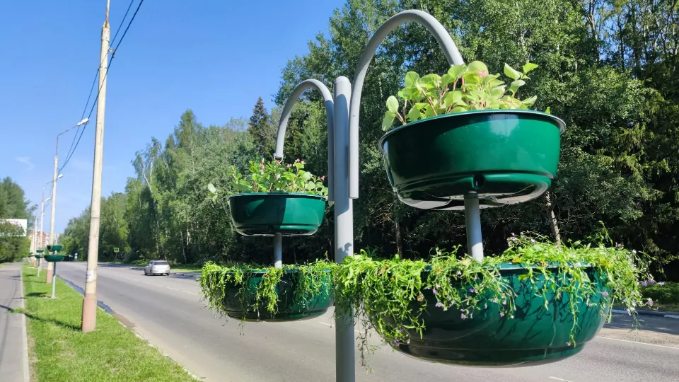 Фото: администрация г. о. Дубна